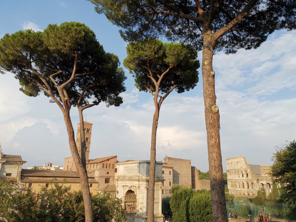 Le Mont Palatin à Rome