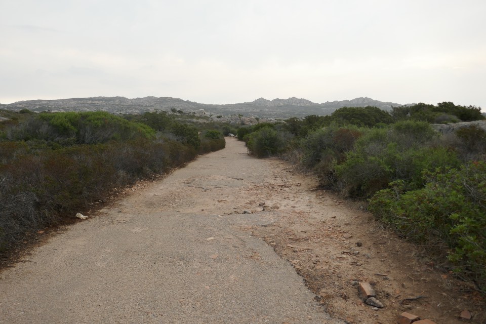 Plage Testa del Polpo