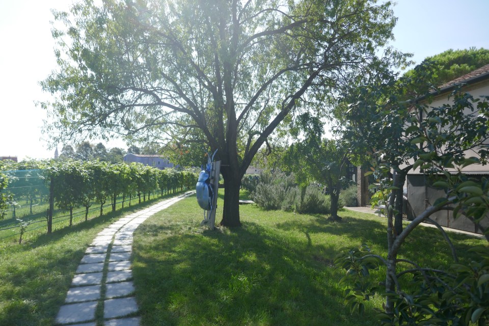 Je vous propose de visiter Venise ainsi que les iles de Murano et Burano. Que voir, que faire?