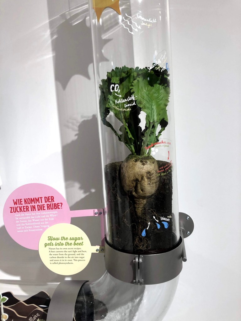 Chocolaterie Maestrani