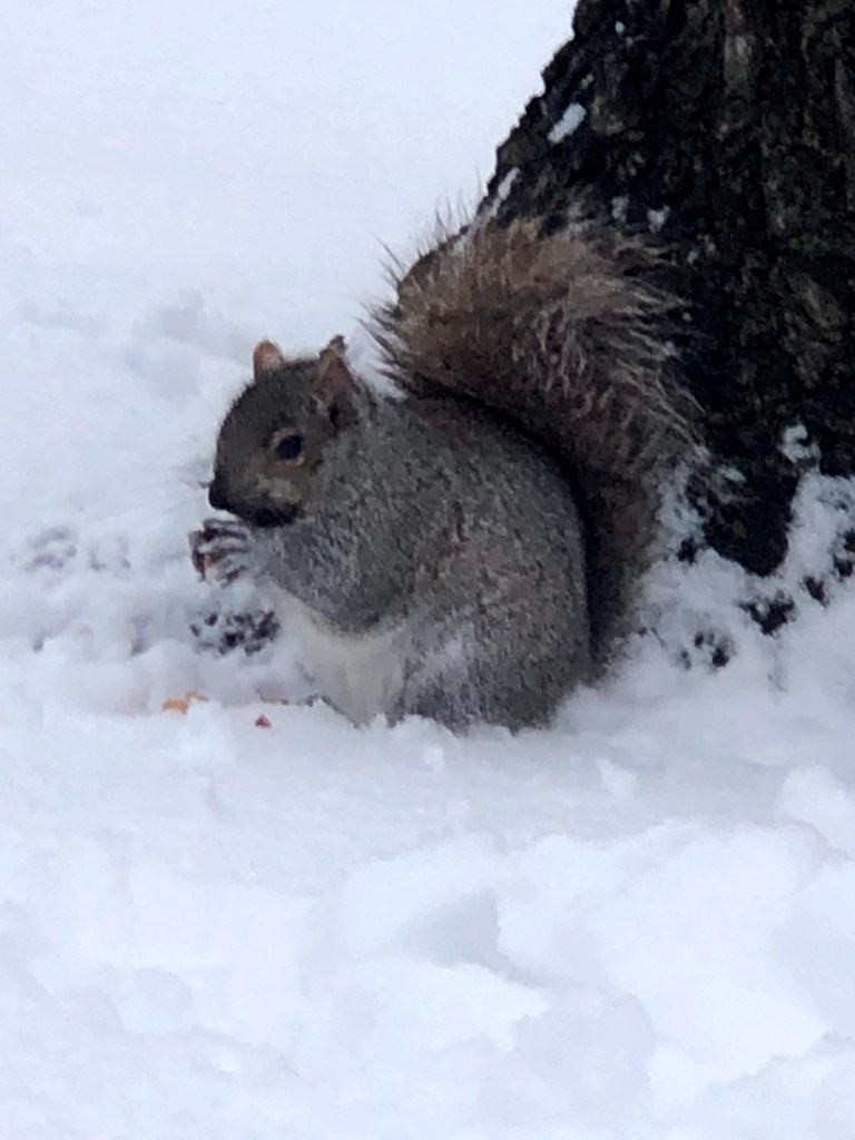 Visiter Montréal en 2 jours c'est possible. Que voir, que faire ? Où manger et où dormir ? 