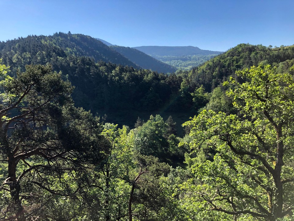 randonnée au ravin de Corboeuf à Rosière en Haute Loire