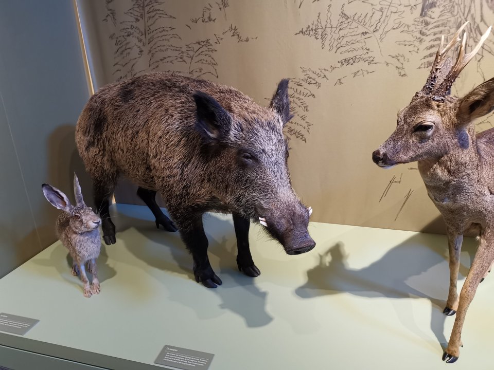 visiter le grand site de l'Aven d'Orgnac