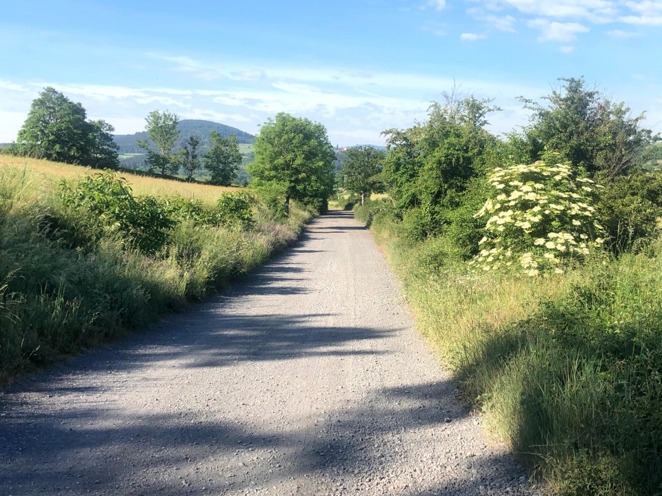 Chemin de Saint Jacques de Compostelle  Puy en Velay