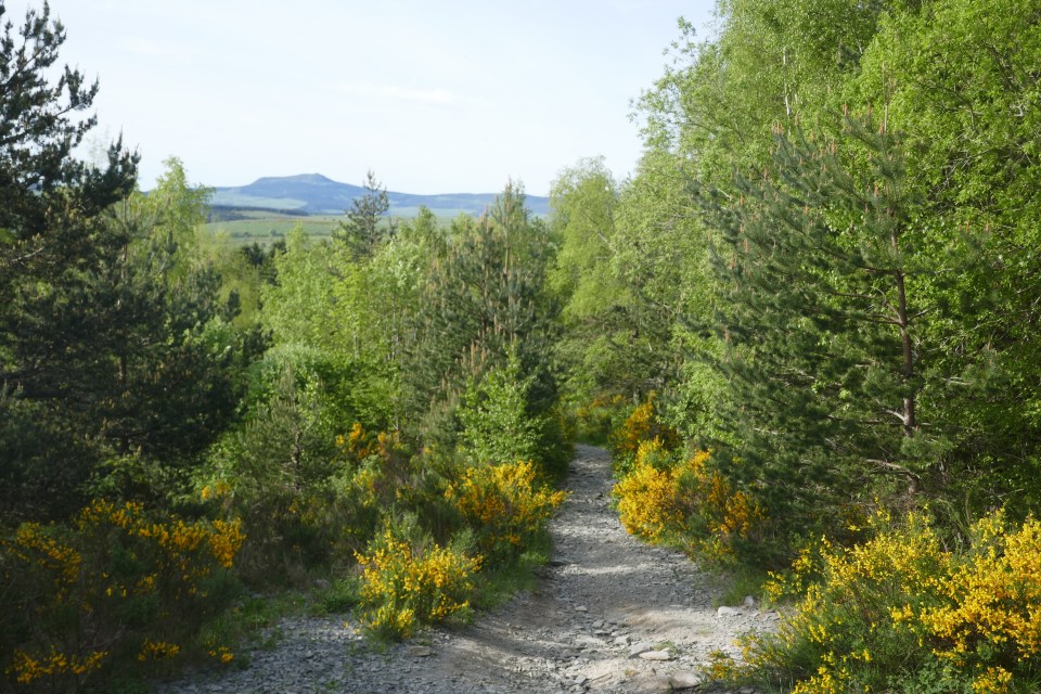 le lac bleu à Champclause en Haute Loire