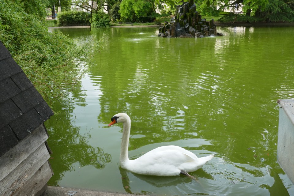  jardin Henri Vinay au Puy en Velay