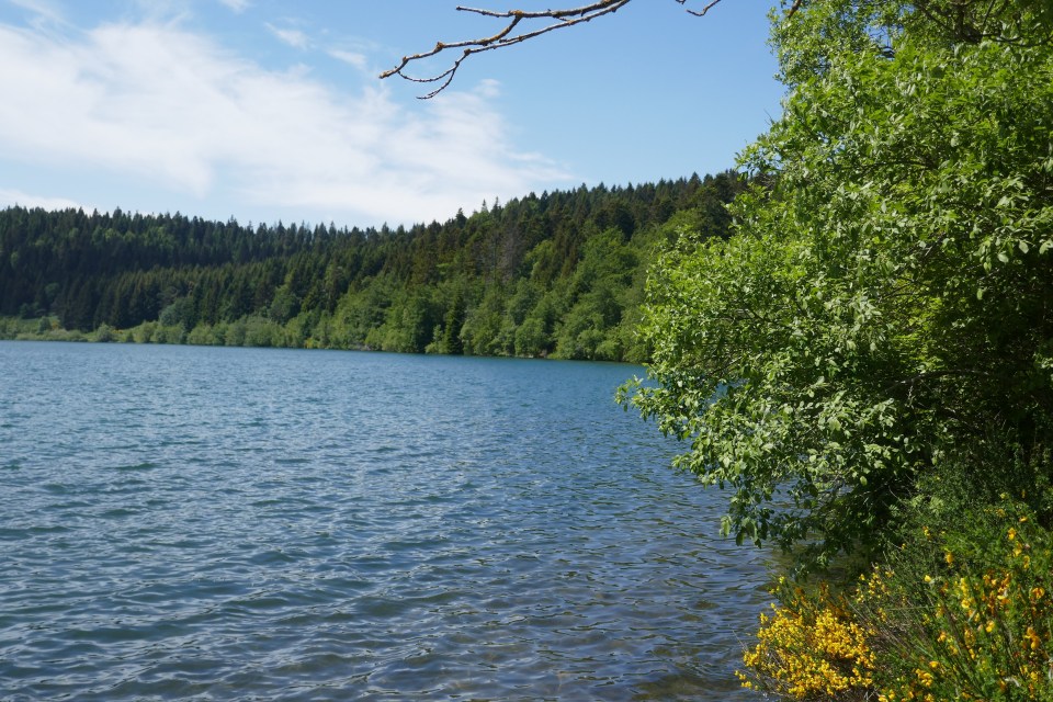 lac du bouchet en Haute Loire
