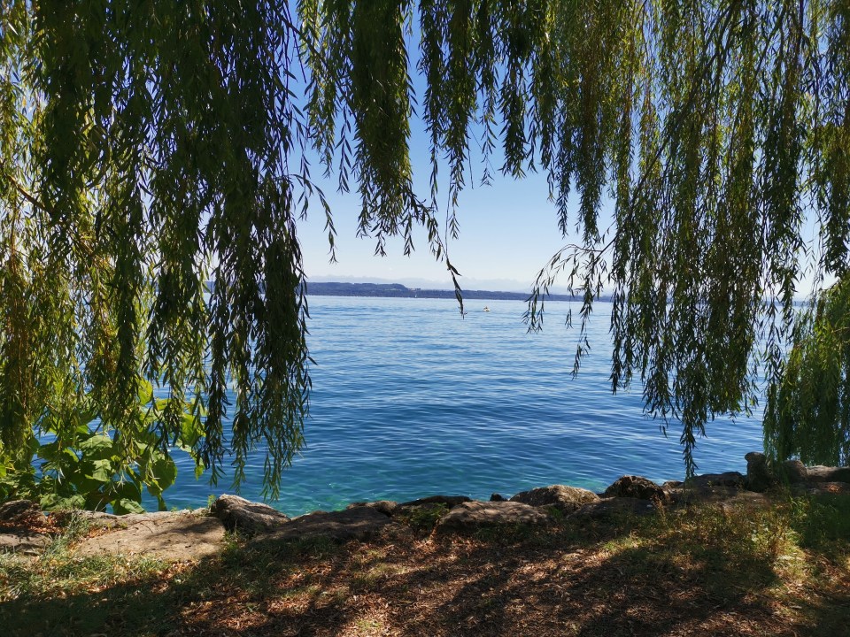 Lac de Neuchâtel en Suisse