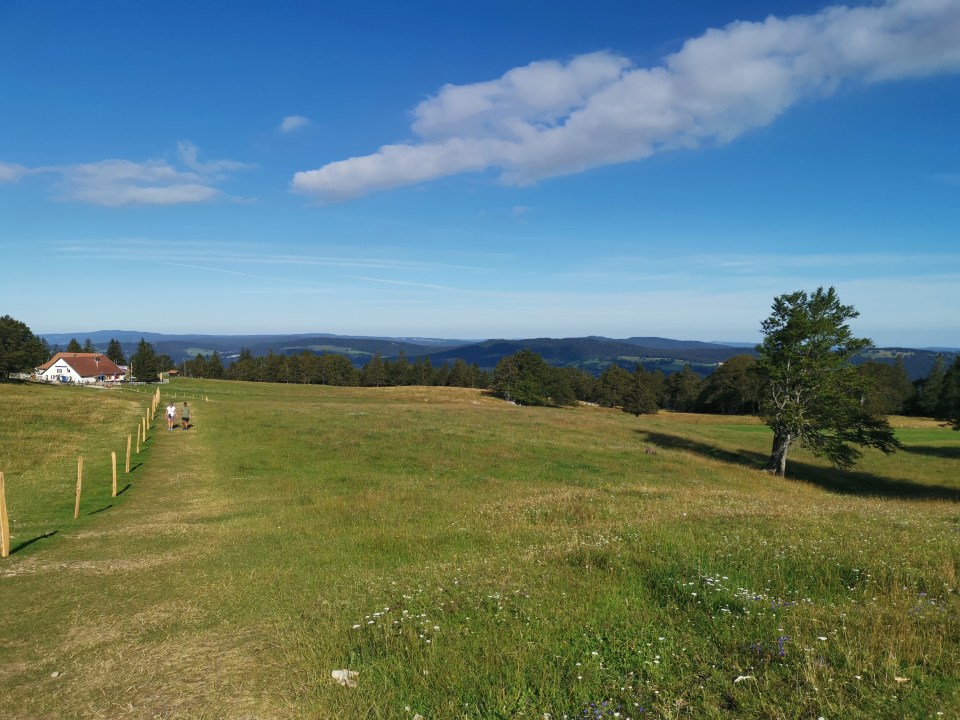 Vous êtes en Suisse, dans le canton de Neuchatel, et vous cherchez une idée de sortie? Faites la magnifique randonnée au creux du van.