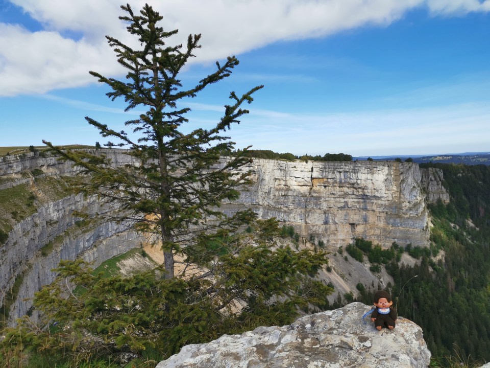 Vous êtes en Suisse, dans le canton de Neuchatel, et vous cherchez une idée de sortie? Faites la magnifique randonnée au creux du van.