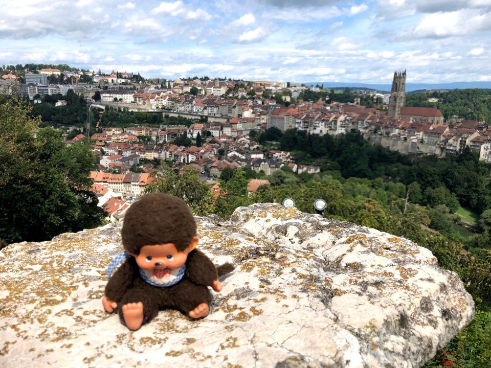 Visiter Fribourg Suisse