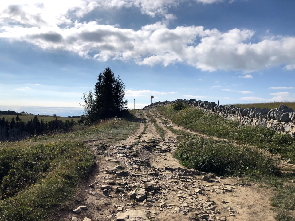 Vous êtes en Suisse, dans le canton de Neuchatel, et vous cherchez une idée de sortie? Faites la magnifique randonnée au creux du van.