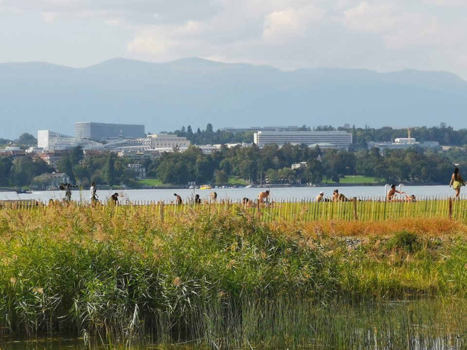 rives du Lac de Genève