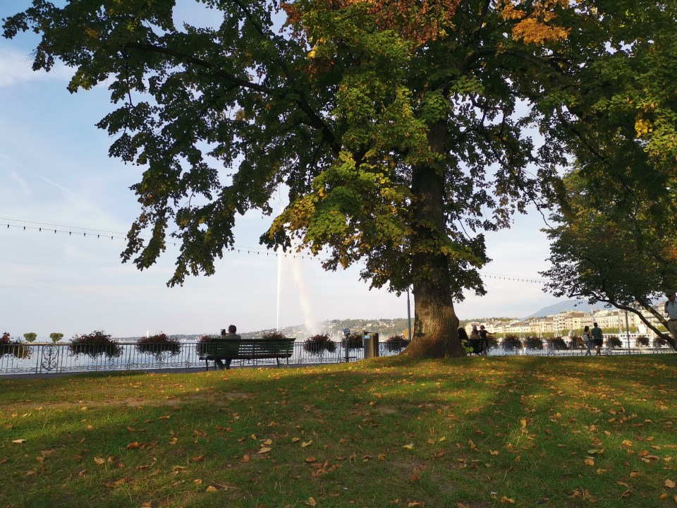 Jardin Anglais à Genève