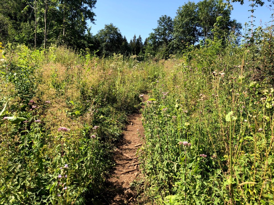 Les lacs du Maclu et d'Ilay dans le Jura