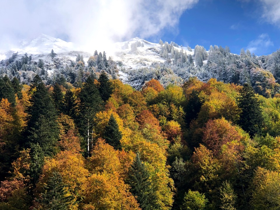 séjour à l'hôtel wellness Warther Hof à Warth en Autriche 
