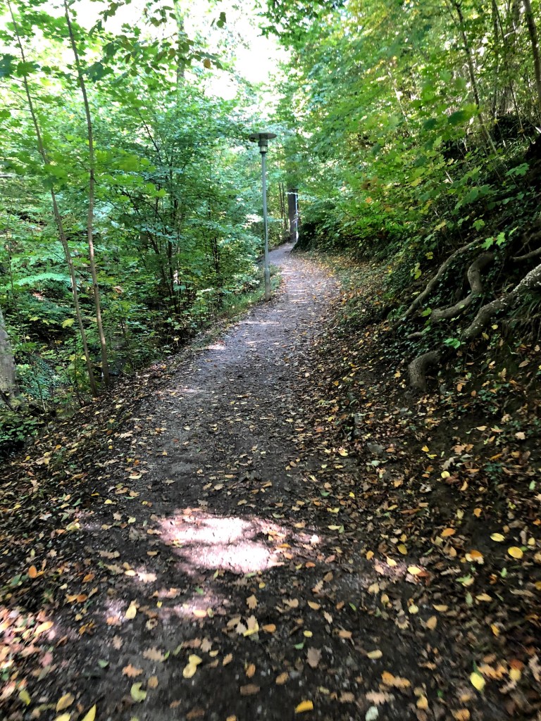 jeu de piste Foxtrail à Zurich