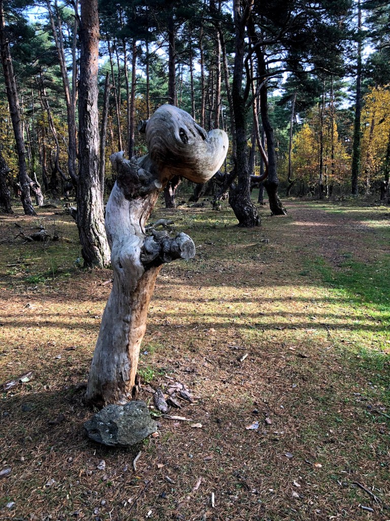 autour du Puy en Velay