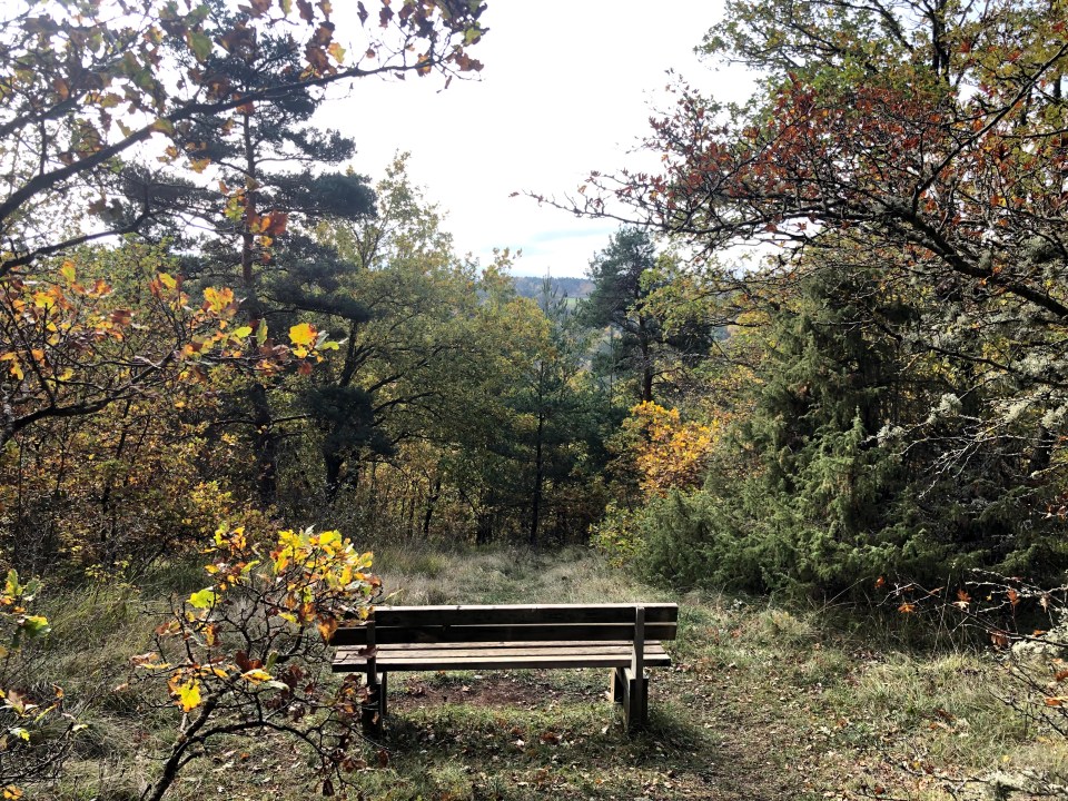 autour du Puy en Velay
