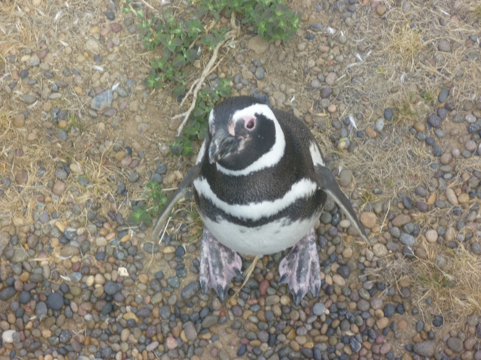 Voyager seule : l'expérience de Mélanie 