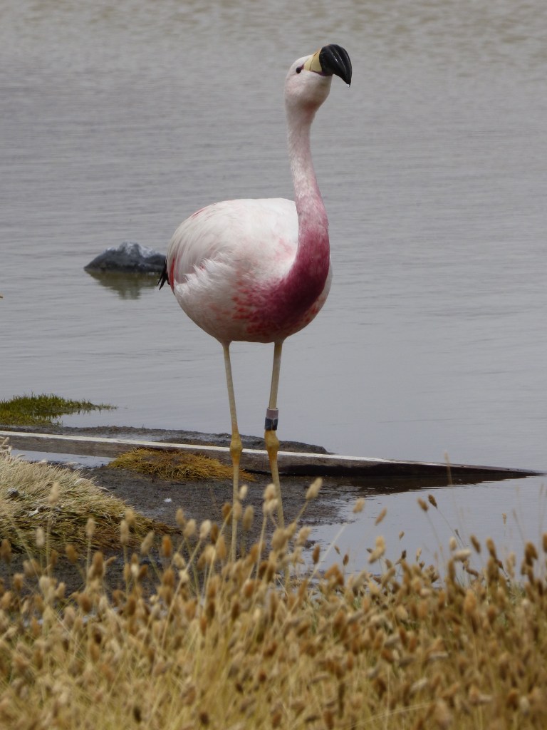 Voyager seule : l'expérience de Mélanie 