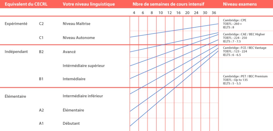 Séjour linguistique