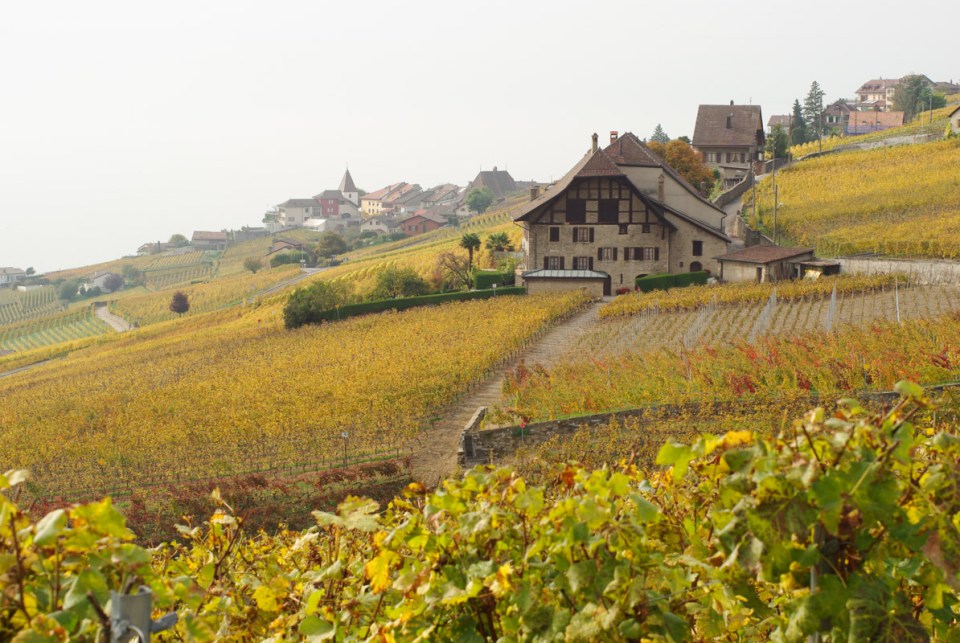 Voici donc une sélection des plus beaux endroits à visiter en Suisse. 