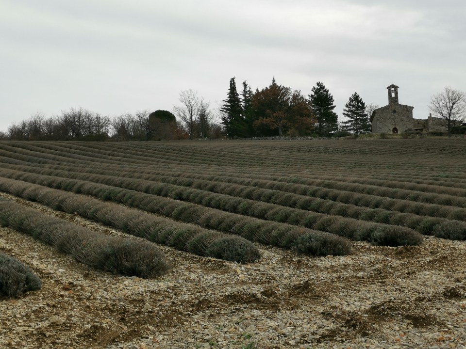 Poët-Sigillat Drôme provençale