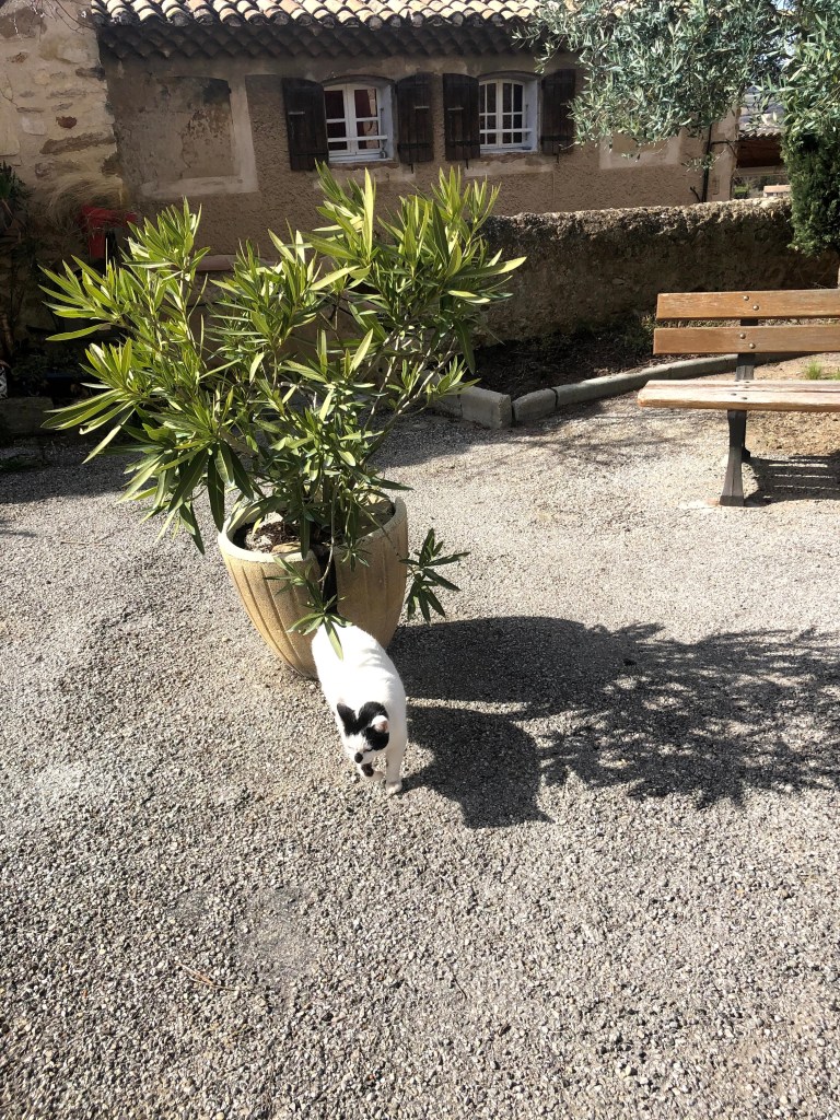 Mirabel aux Baronnies 