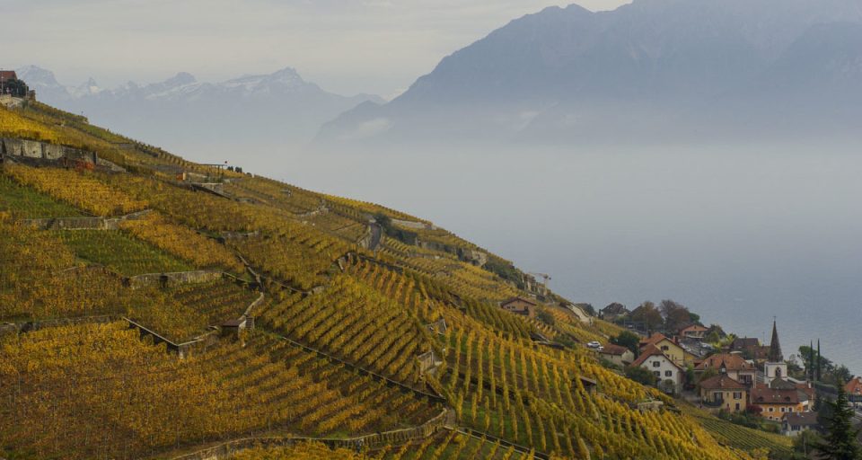 Voici donc une sélection des plus beaux endroits à visiter en Suisse. 