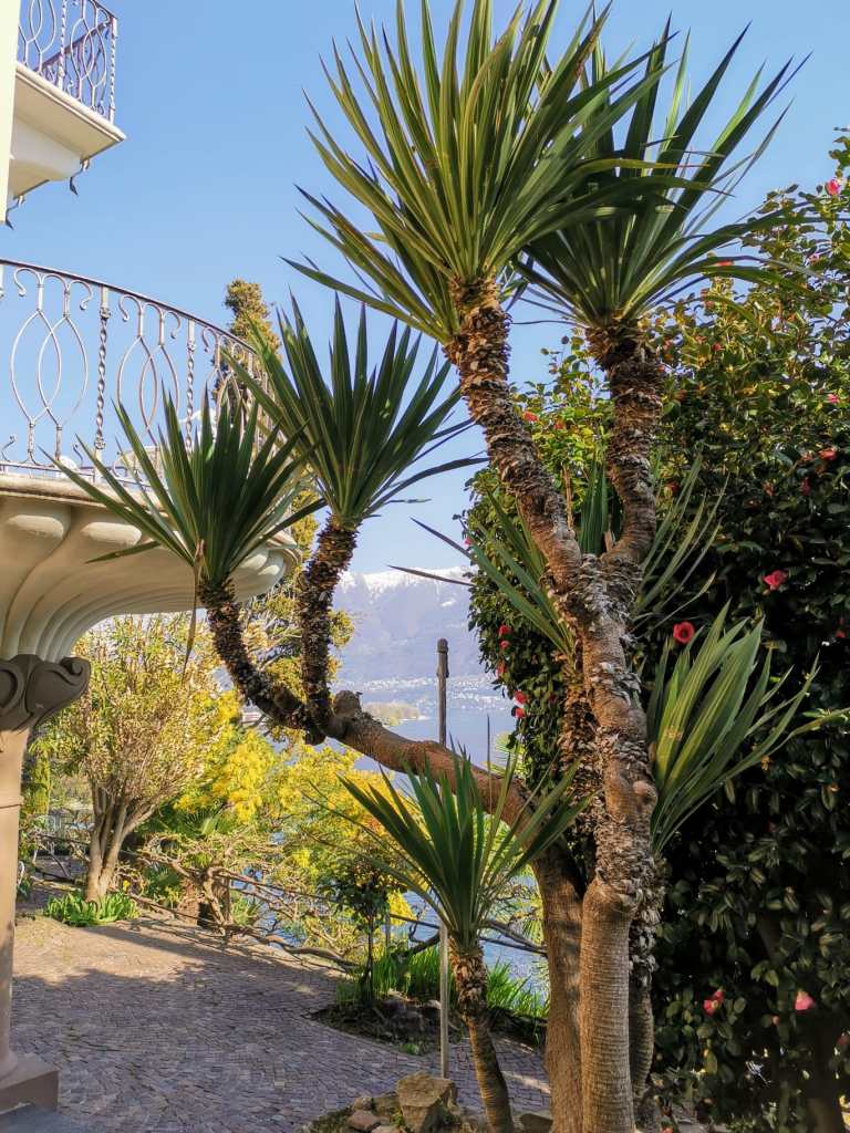 logement dans le Tessin en Suisse