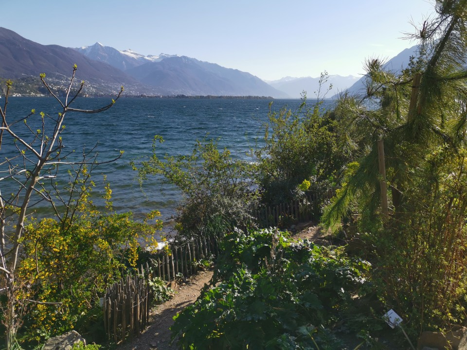 visiter les îles de Brissago dans le Tessin en Suisse.