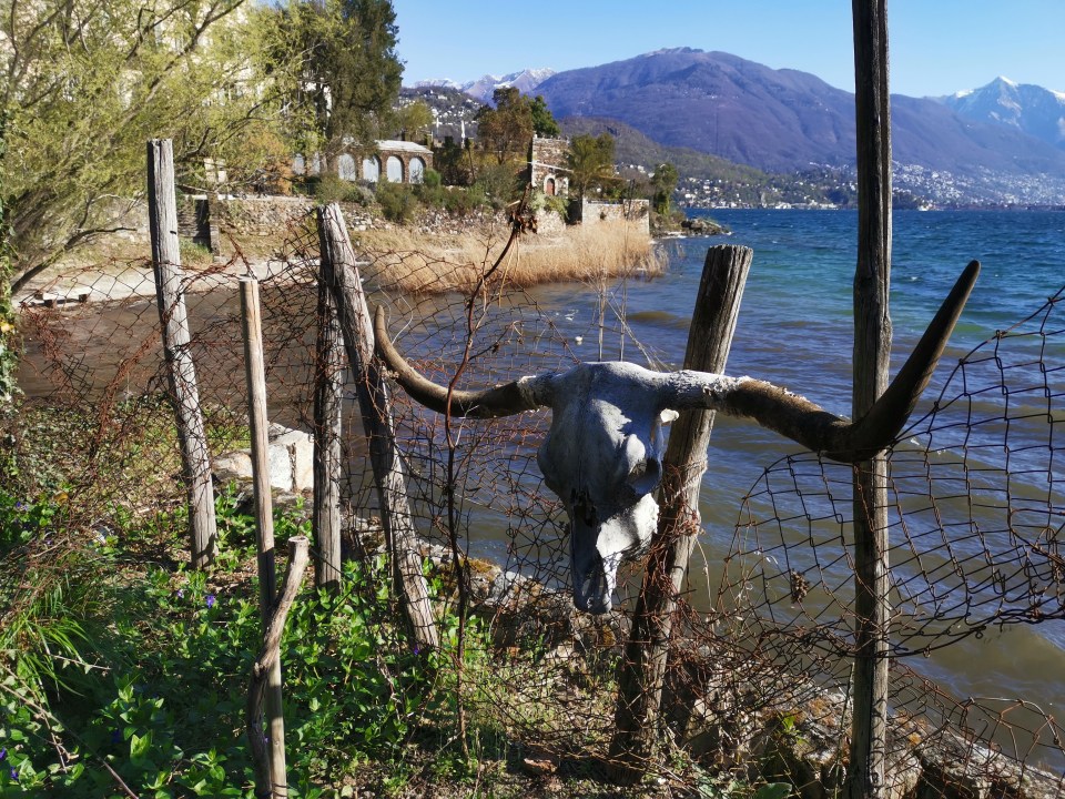 visiter les îles de Brissago dans le Tessin en Suisse.