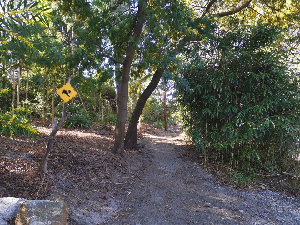 visiter les îles de Brissago dans le Tessin en Suisse.