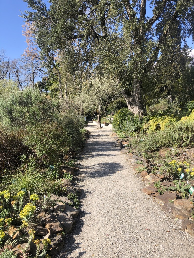 visiter les îles de Brissago dans le Tessin en Suisse.