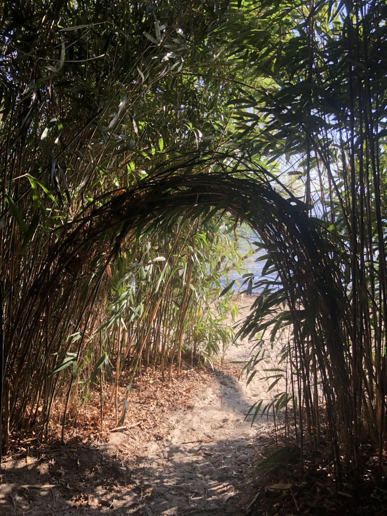 visiter les îles de Brissago dans le Tessin en Suisse.
