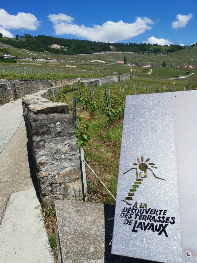 La randonnée dans les Terrasses de Lavaux 