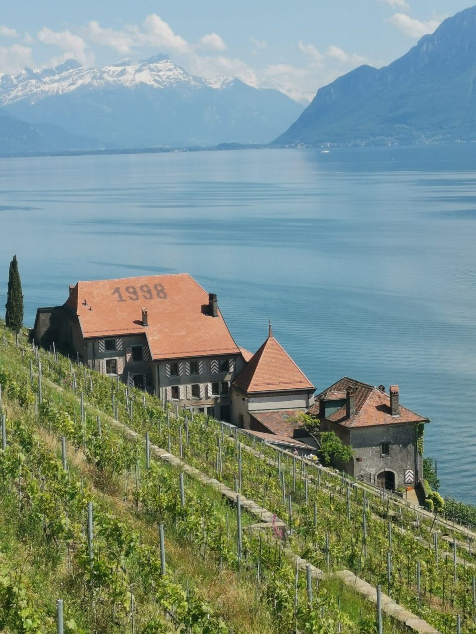 Randonnée Terrasses de Lavaux