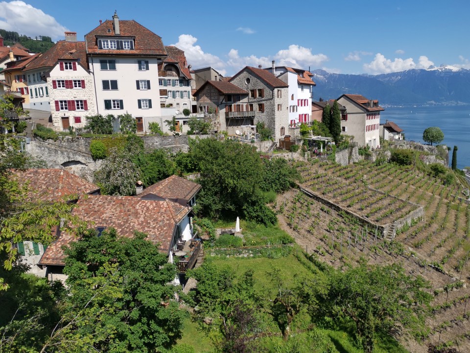 La randonnée dans les Terrasses de Lavaux entre Cully et Rivaz. 