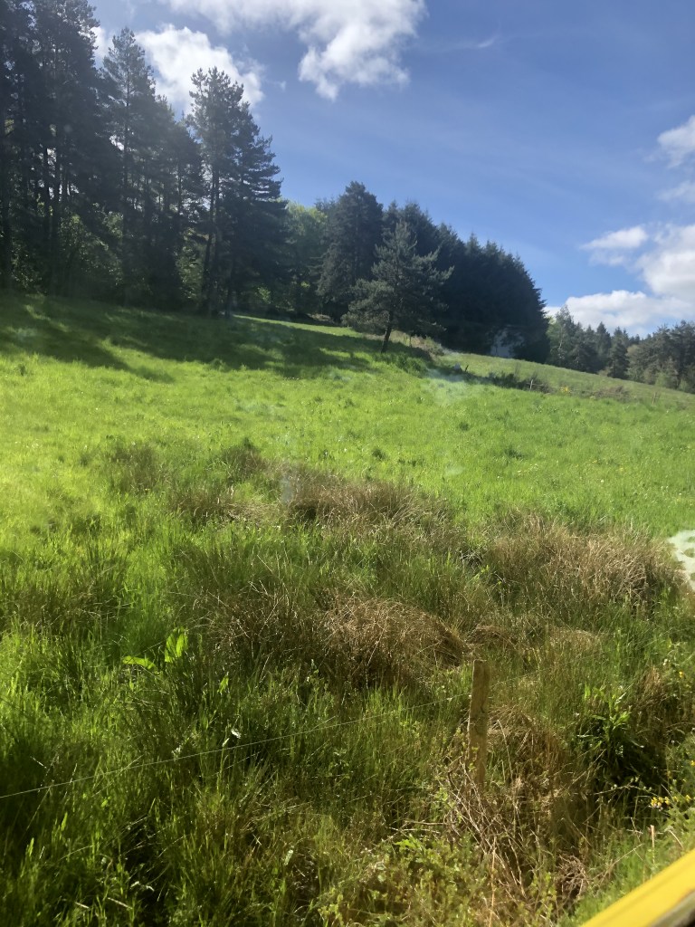 forêts de Haute Loire