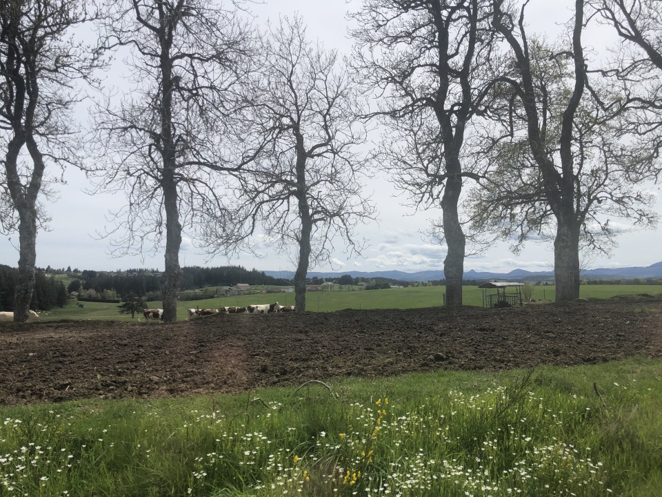 A bord du train le Velay Express en Haute Loire