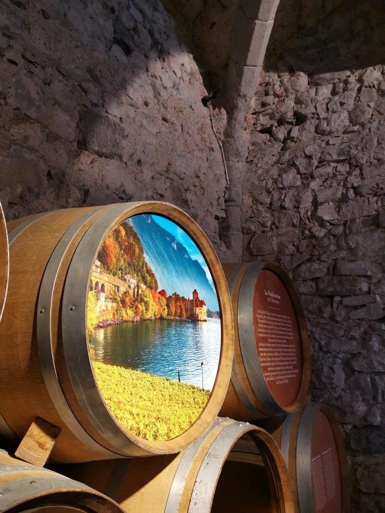 Après avoir passé un week end à Lausanne, je vous propose de découvrir 5 lieux incontournables dans la région de Lausanne. 