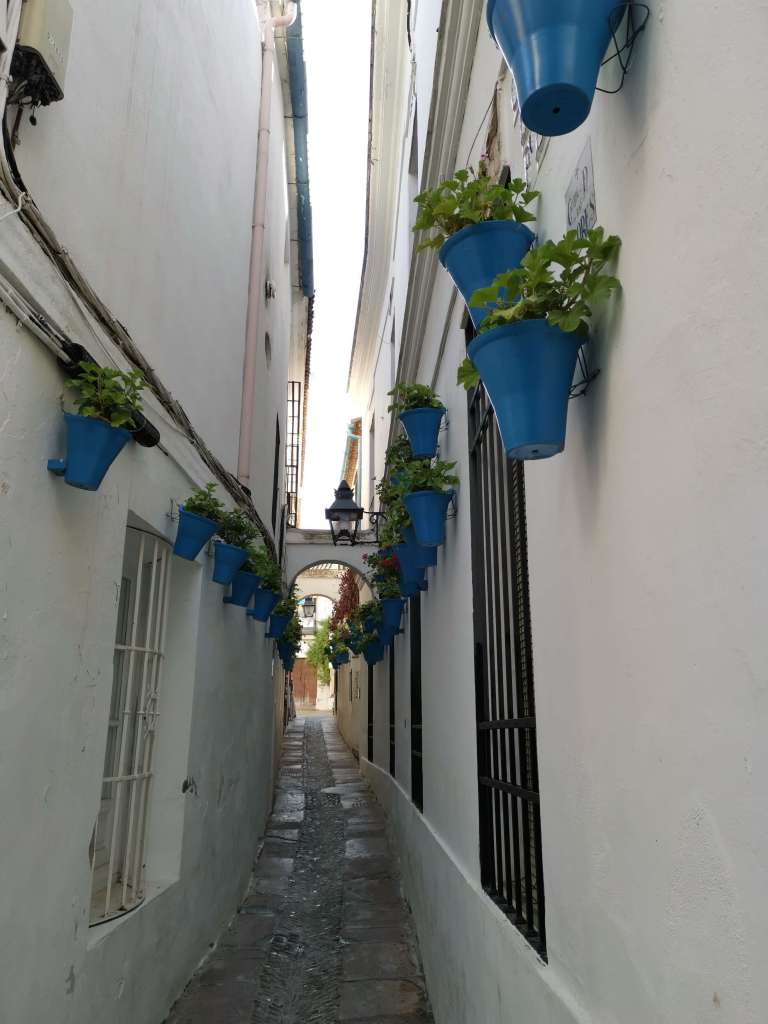 Calleja de las Flores