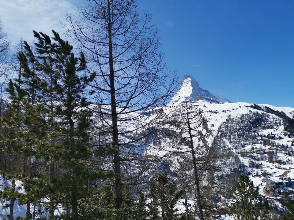 A partir de Zermatt, prenez le train à crémaillère qui vous emmènera au sommet du Gornergrat. Vous aurez de magnifiques vues sur le Cervin. 