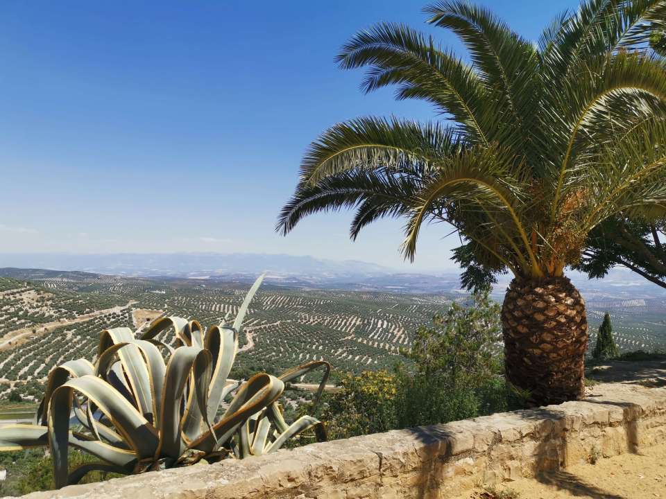 partir en Andalousie