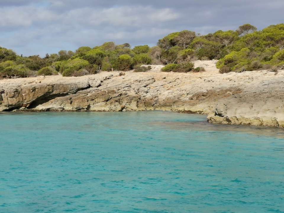 criques de Macarella, Mitjana et Trebalúger