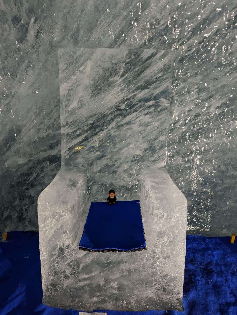 Le train du Montenvers - la Mer de Glace 