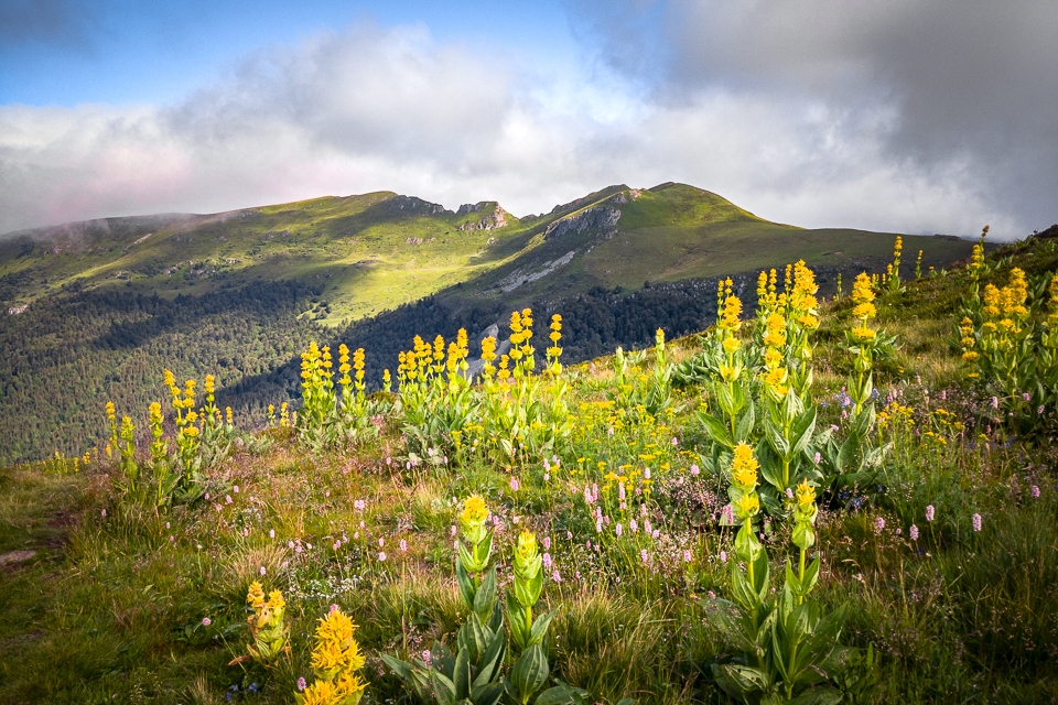 Tour du Cantal dans la région Auvergne Rhône Alpes