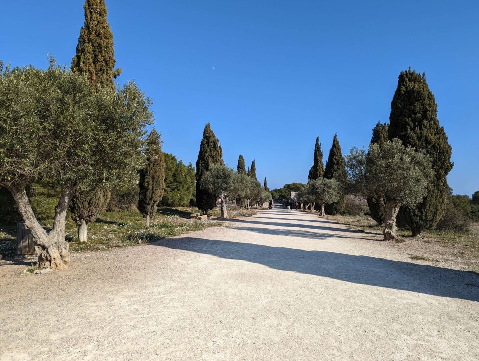forêt des pierres blanches à Sète