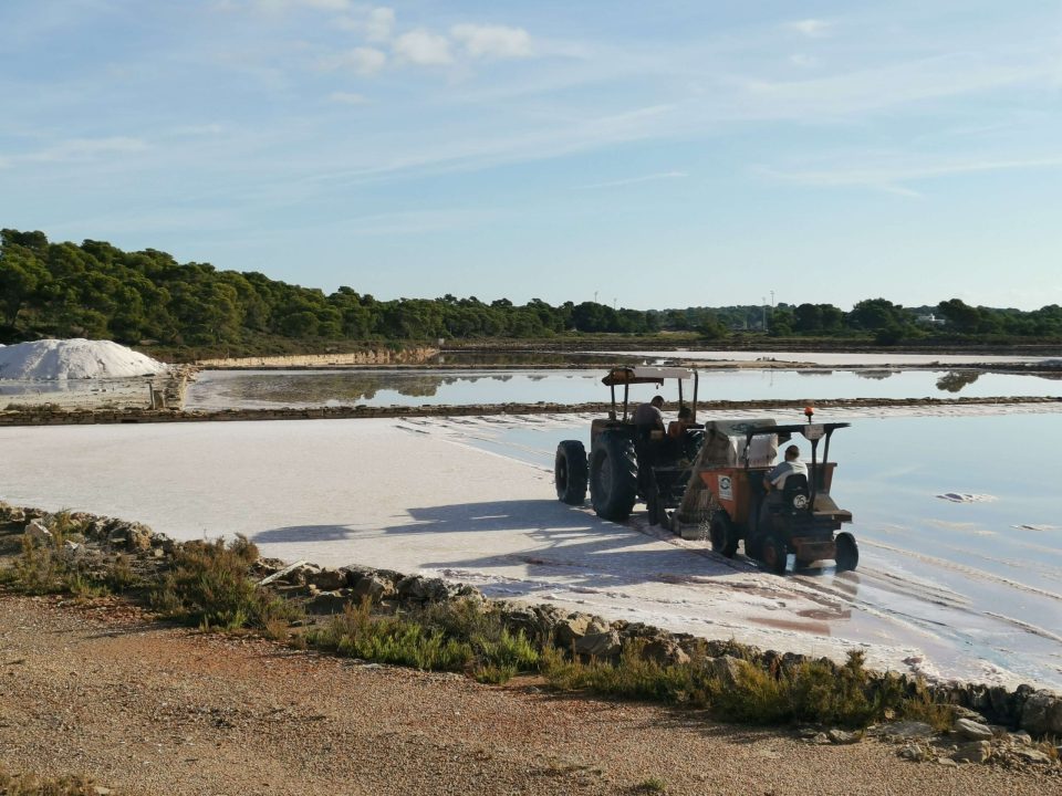 Salins de Colonia de Sant Jordi au Sud de Majorque